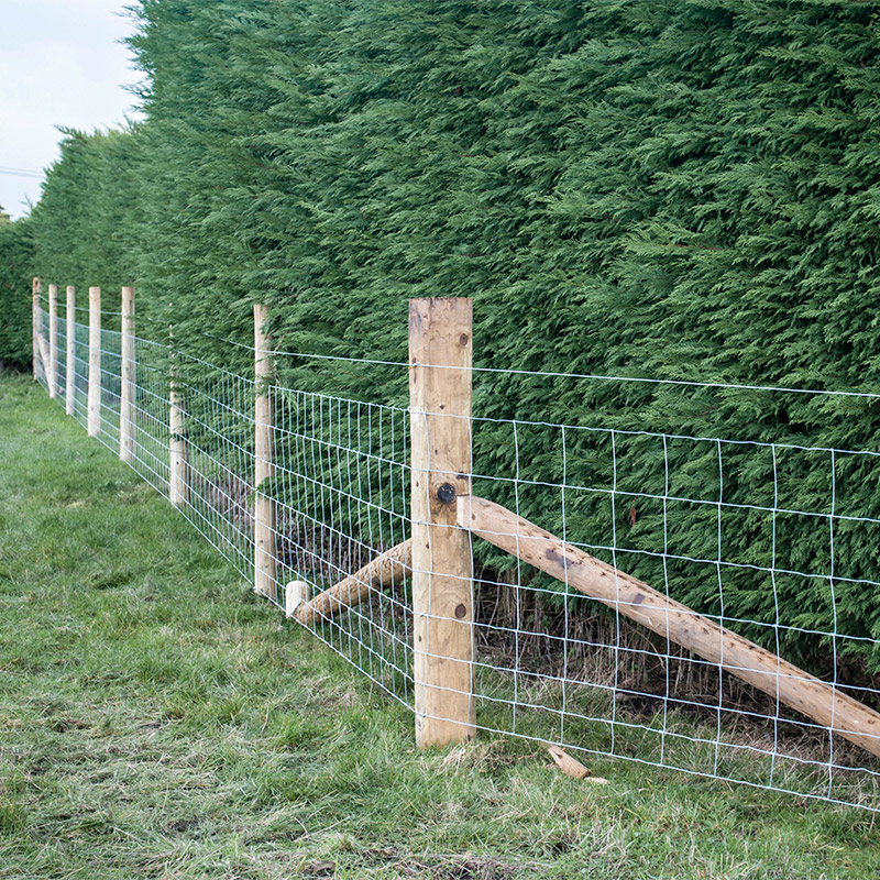 Customized Iron Wire Mesh Fixe - Agriculture Farming Livestock reseña y precio