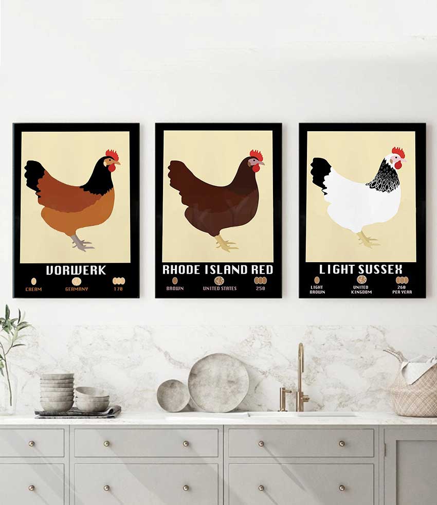 Light Sussex Faverolle Rhode I - Agriculture Farming Poster reseña y precio