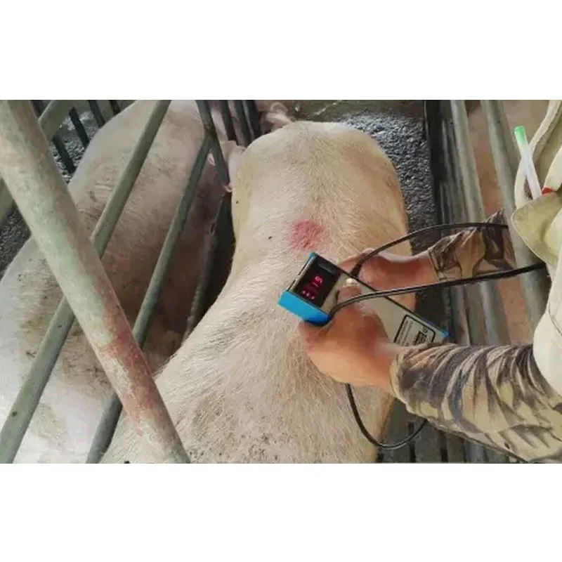 Precision Pig Back Fat Detecto - Agriculture Farming Livestock reseña y precio
