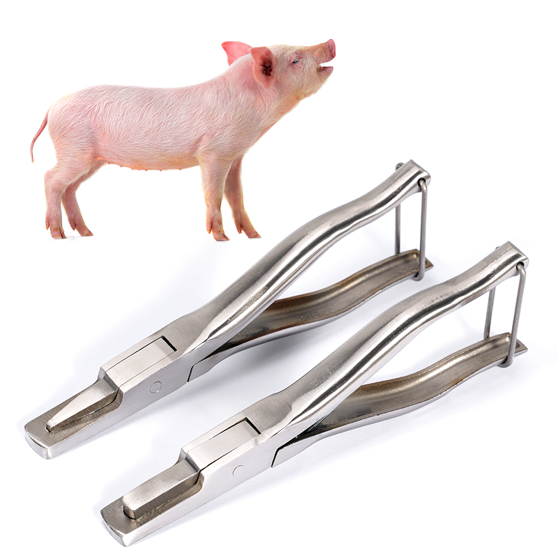 Stainless Steel Pig Ear Notche - Agriculture Farming Livestock reseña y precio