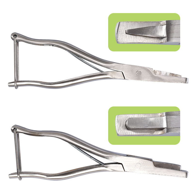 Stainless Steel Pig Ear Notche - Agriculture Farming Livestock reseña y precio
