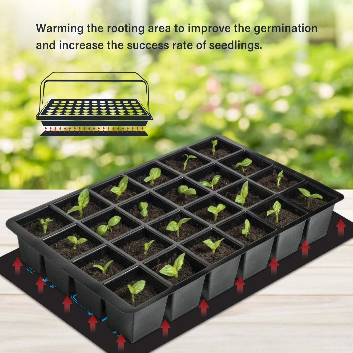 20.75x10CM EU/US/UK/AU Plug Se - Seedling Heat Mat reseña y precio